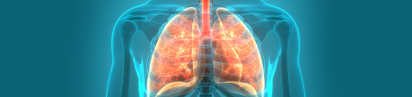 lung-diagram