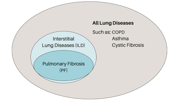 Interstitial-lung-disease