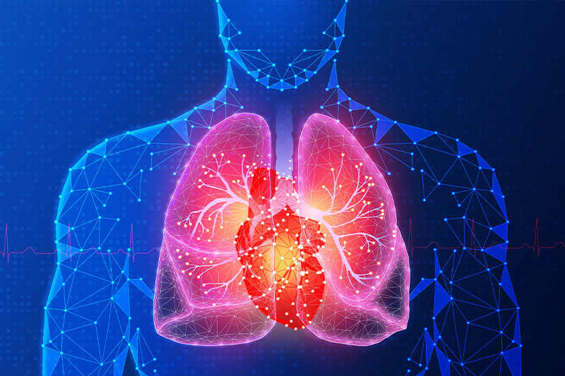 lung-and-heart-medical-artwork