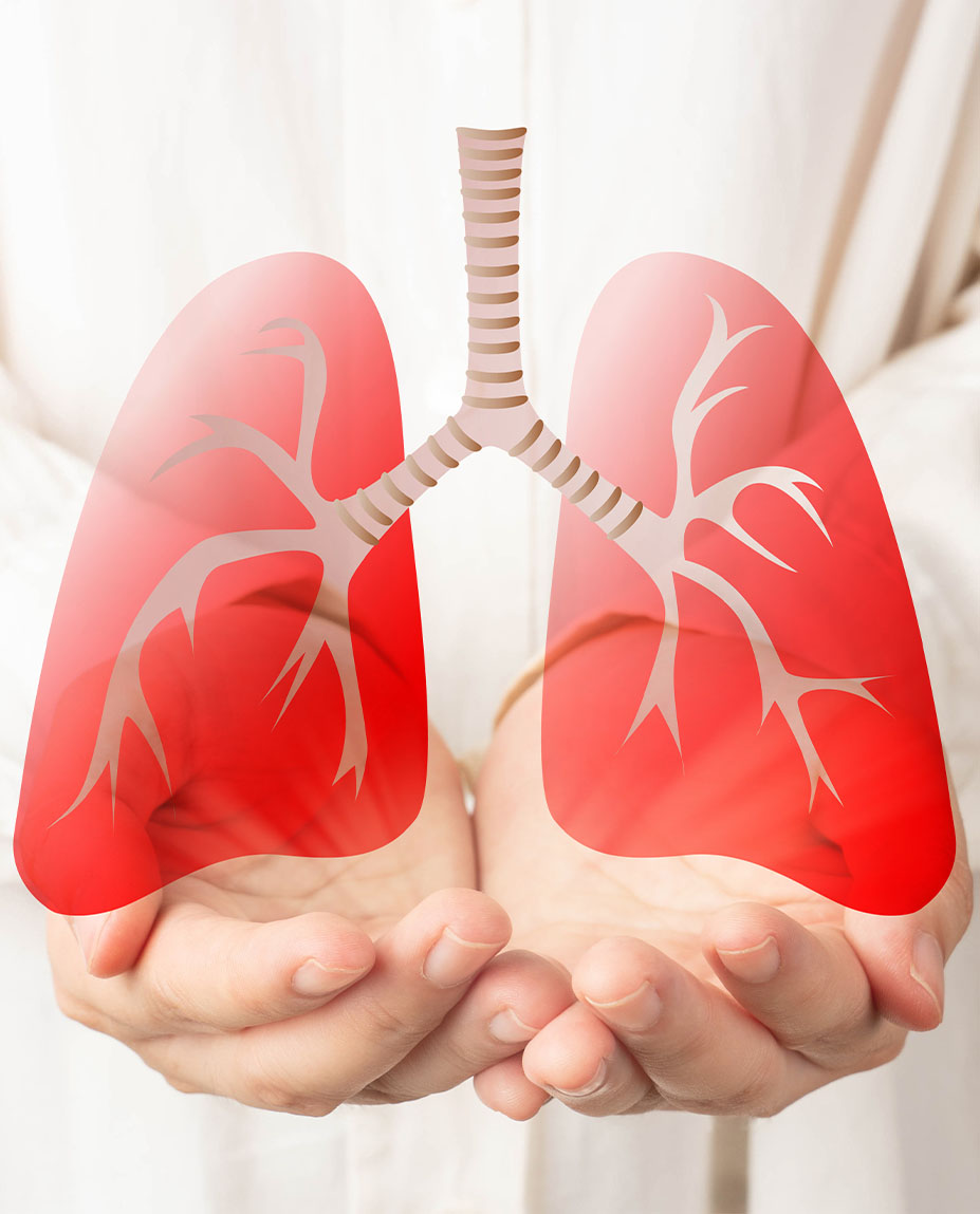 researcher-holding-lung-artwork
