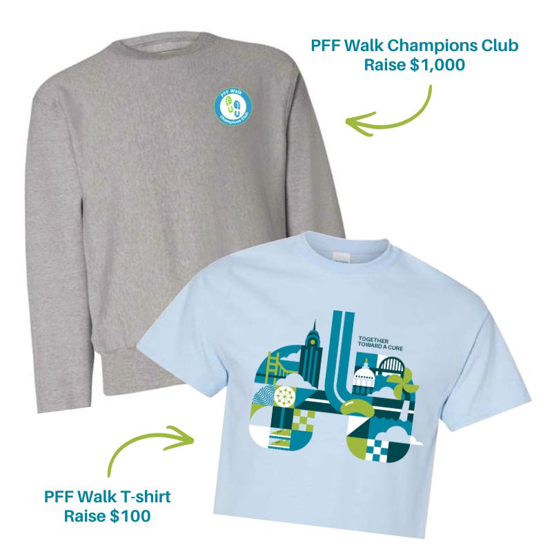 Fundraising incentives option #3