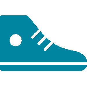shoe